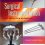 Surgical Instrumentation: An Interactive Approach 4th Edition-Original PDF