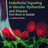 Endothelial Signaling in Vascular Dysfunction and Disease: From Bench to Bedside -EPUB