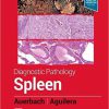 Diagnostic Pathology: Spleen 2nd Edition-Original PDF