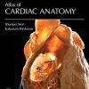 Atlas of Cardiac Anatomy (Anatomical Basis of Cardiac Interventions) -Original PDF