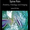 Mechanical Lumbosacral Spine Pain: Anatomy, Histology and Imaging -Original PDF