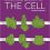 Molecular Biology of the Cell Seventh Edition-Original PDF