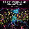 The Developing Brain and its Connections -Original PDF