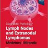 Diagnostic Pathology: Lymph Nodes and Extranodal Lymphomas 3rd Edition-EPUB