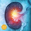 Intensive Review of Nephrology 2022- Videos + PDFs