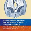 The Human Brain during the First Trimester 57- to 60-mm Crown-Rump Lengths: Atlas of Human Central Nervous System Development, Volume 7 -Original PDF