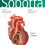 Sobotta Atlas of Anatomy, Vol. 2, 17th ed., English/Latin: Internal Organs 17th Edition-Original PDF