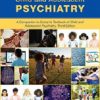 Study Guide to Child and Adolescent Psychiatry: A Companion to Dulcan’s Textbook of Child and Adolescent Psychiatry, Third Edition -Original PDF
