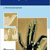 An Evidence-Based Approach to the Fingertip Diseases -Original PDF