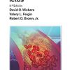 Manual de ictus (Spanish Edition) 3e-Original PDF