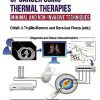 Diagnosis and Treatment of Cancer using Thermal Therapies: Minimal and Non-invasive Techniques -Original PDF