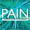 Pain: A textbook for health professionals 3rd Edition -Original PDF