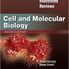 Lippincott Illustrated Reviews: Cell and Molecular Biology (Lippincott Illustrated Reviews Series) 2nd Edition-Original PDF