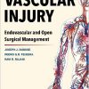 Vascular Injury: Endovascular and Open Surgical Management -Original PDF