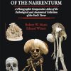 The Incredible Bones of the Narrenturm: A Photographic Comparative Atlas of the Pathological and Anatomical Collection of the Fool’s Tower -Original PDF
