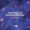 Field Theory of Multiscale Plasticity -Original PDF