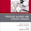 Pressure Injuries & Chronic Wounds, An Issue of Clinics in Geriatric Medicine,(The Clinics: Internal Medicine) -Original PDF