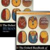 The Oxford Handbook of Human Memory, Two Volume Pack: Foundations and Applications (Oxford Library of Psychology) -Original PDF