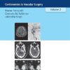 Neurosurgery Updates, Vol. 2: Controversies in Vascular Surgery -Original PDF