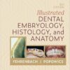 Student Workbook for Illustrated Dental Embryology, Histology and Anatomy 6th Edition-Original PDF