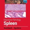 Diagnostic Pathology: Spleen 2nd Edition-EPUB