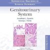 Differential Diagnoses in Surgical Pathology: Genitourinary System 2nd Edition-EPUB