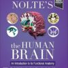 Nolte’s The Human Brain: An Introduction to its Functional Anatomy 9th Edition-Original PDF