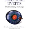 Practical Uveitis: Understanding the Grape 2nd Edition-Original PDF