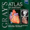 Gray’s Atlas of Anatomy 4th Edition-True PDF