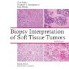Biopsy Interpretation of Soft Tissue Tumors 8th Edition-EPUB