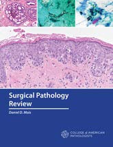 SURGICAL PATHOLOGY REVIEW -Original PDF