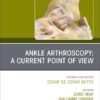 Ankle Arthroscopy: A Current Point of View, An issue of Foot and Ankle Clinics of North America (Volume 30-4) (The Clinics: Orthopedics, Volume 30-4) -EPUB