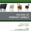 Welfare of Ruminant Animals, An Issue of Veterinary Clinics of North America: Food Animal Practice: Welfare of Ruminant Animals, An Issue of Veterinary … E-Book (The Clinics: Veterinary Medicine) -EPUB