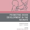 Promoting Brain Development in the Neonate, An Issue of Pediatric Clinics of North America: Promoting Brain Development in the Neonate(The Clinics: Internal Medicine) -EPUB