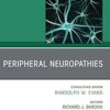 Peripheral Neuropathies, An Issue of Neurologic Clinics: Peripheral Neuropathies, An Issue of Neurologic Clinics (The Clinics: Radiology) -EPUB