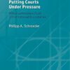 Putting Courts Under Pressure: When Lawmakers Push Constitutional Boundaries (Comparative Politics) -Original PDF