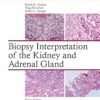 Biopsy Interpretation of the Kidney & Adrenal Gland -Original PDF