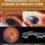 Investigation & Management of Eye Disease in Primary Care: Infection, Inflammation and Immune Response -Original PDF