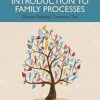 Introduction to Family Processes: Diverse Families, Common Ties -EPUB