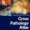 Gross Pathology Atlas: A Guide to Gross Specimens Evaluation 1st Edition-Original PDF