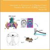 Structure to Function of G Protein-Gated Inwardly Rectifying (GIRK) Channels, Volume 123 (International Review of Neurobiology) -Original PDF