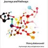 The Analytical Process: Journeys and Pathways (The International Psychoanalytical Association Psychoanalytic Ideas and Applications Series)-Original PDF