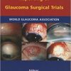 Guidelines on Design and Reporting of Glaucoma Surgical Trials-Original PDF