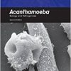 Acanthamoeba: Biology and Pathogenesis (Second Edition)-Original PDF