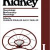The Kidney: Morphology, Biochemistry, Physiology-Original PDF