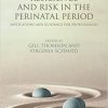 Psychosocial Resilience and Risk in the Perinatal Period: Implications and Guidance for Professionals-Original PDF