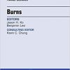 Burns, An Issue of Hand Clinics, 1e (The Clinics: Orthopedics)-Original PDF