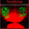 Developmental Neurobiology-Original PDF
