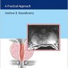 MRI of the Prostate: A Practical Approach-Original PDF