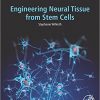Engineering Neural Tissue from Stem Cells-Original PDF